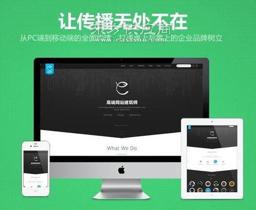 中英文网站建设公司 河北哪家邯郸做网站公司声誉好图片