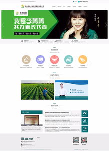 长春网站建设 长春网站制作 长春网站设计 网站建设 网站制作 网站设计