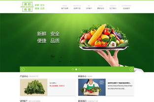 广州诸好食品有限公司企业网站建设项目规划